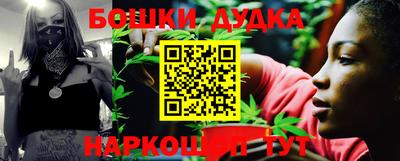 гидропоника Будённовск
