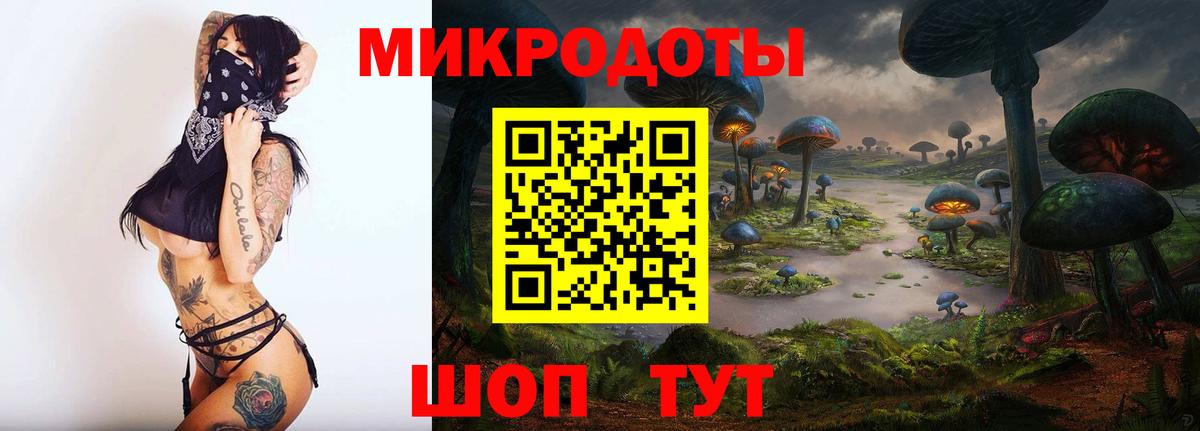 Псилоцибиновые грибы прущие грибы Петропавловск-Камчатский